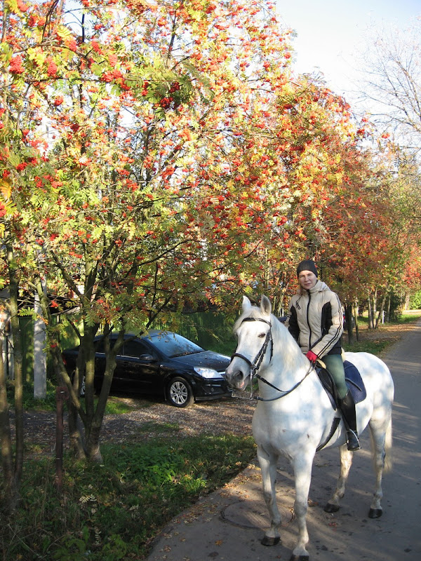 IMG_1136.jpg1.jpg"%20height="800"%20width="599